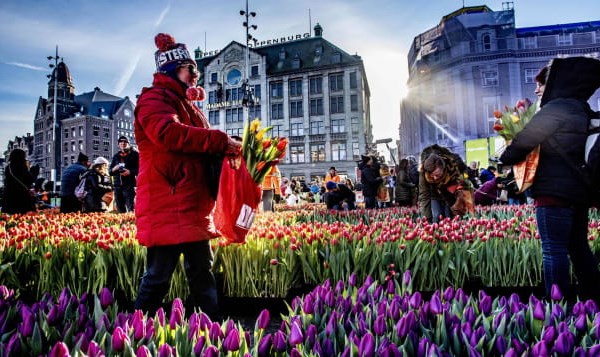 Vì sao Hà Lan ngừng quảng bá về đất nước? - Anh 1