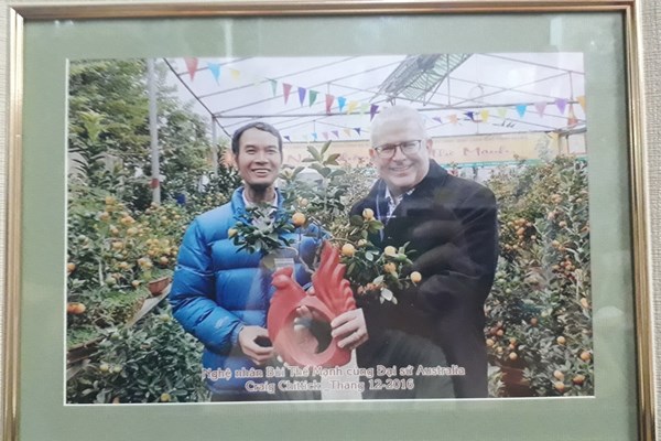 Quất Tứ Liên hối hả vào vụ - Anh 2