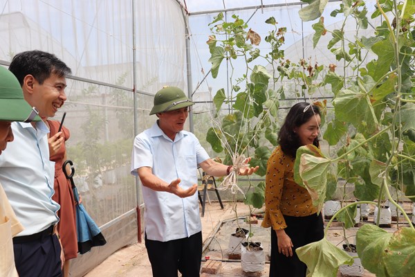 Thứ trưởng Trịnh Thị Thủy: Chú trọng đưa những nội hàm mới của phong trào TDĐKXDĐSVH vào đời sống - Anh 4