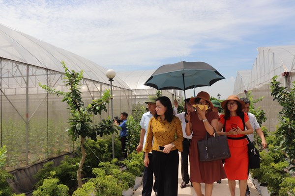 Kiểm tra thực hiện phong trào TDĐKXDĐSVH tại Hưng Yên, Hà Nội: Phong trào văn hóa mà làm hình thức thì vô nghĩa - Anh 2