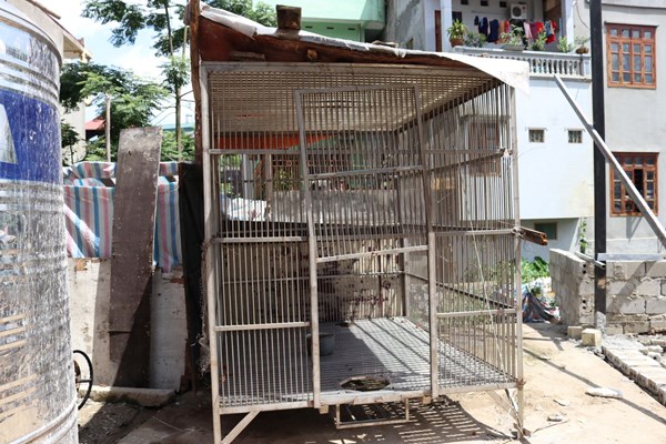 Giải cứu khẩn cấp cá thể gấu ngựa tại Lạng Sơn - Anh 1
