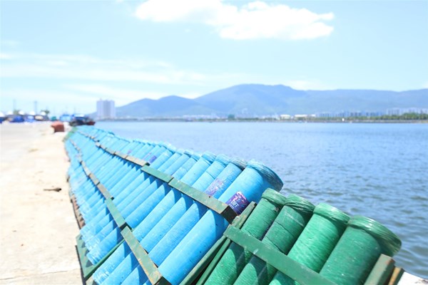 DIFF 2019: Anh khắc họa các dòng sông thế giới, Trung Quốc kể chuyện sông Hoàng Hà - Anh 9