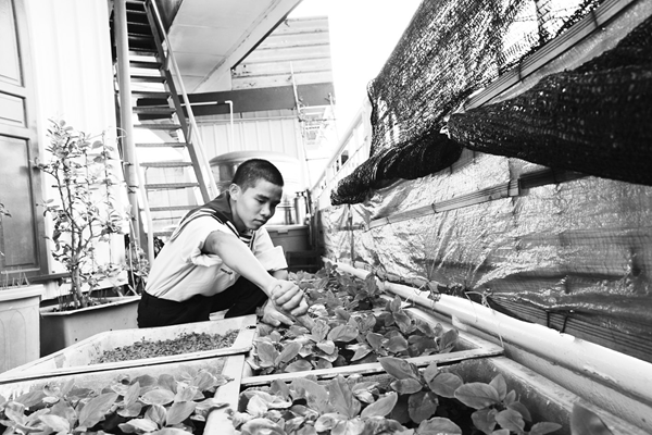 Nơi ấy đối phó với biến đổi khí hậu - Anh 1