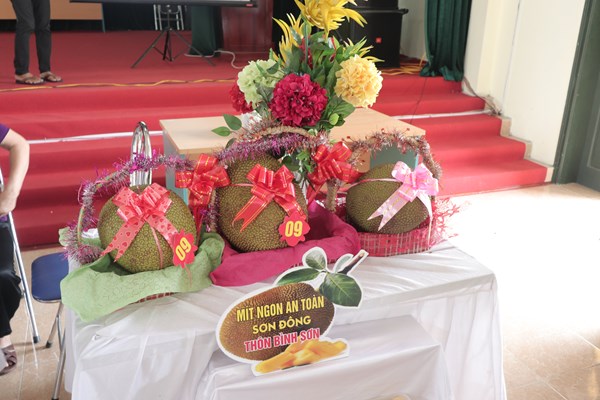 Cuộc thi mít Sơn Tây và trào lưu dùng hoa quả sạch - Anh 2