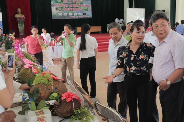 Cuộc thi mít Sơn Tây và trào lưu dùng hoa quả sạch - Anh 3