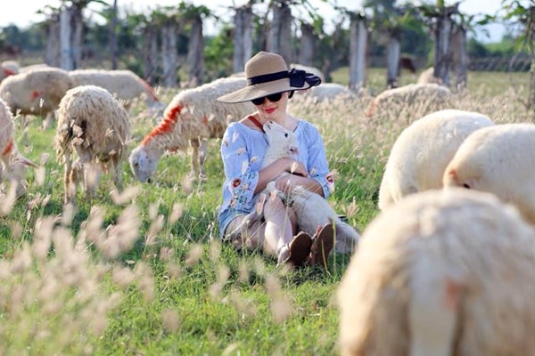 Ninh Thuận: Khát vọng điểm đến trải nghiệm mới của châu lục - Anh 3