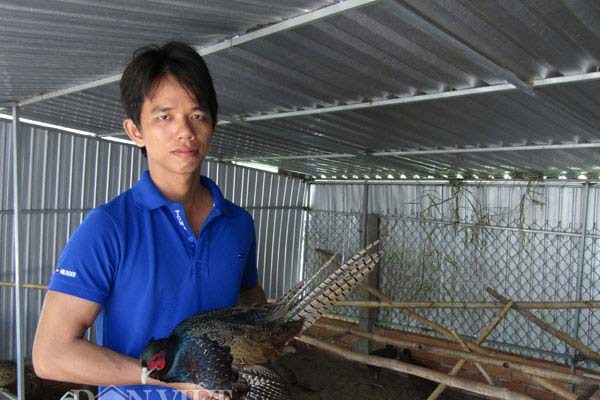 Kỹ sư điện tử về quê nuôi chim, gà độc, lạ, thu hàng trăm triệu - Anh 1