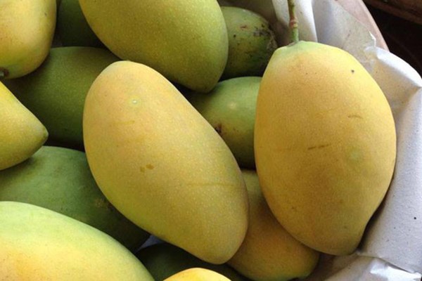 Khám phá thêm lợi ích sức khỏe khi ăn xoài - Anh 1