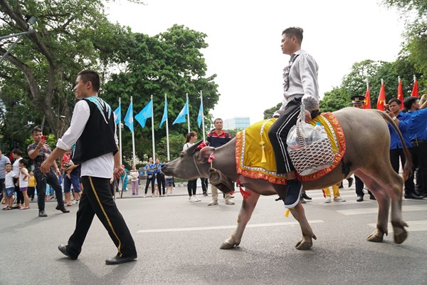 Lễ hội đường phố chào mừng 20 năm Hà Nội - Thành phố vì hoà bình - Anh 4