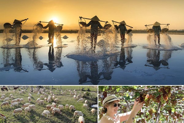 Sau 60 năm vẫn sinh lời- loại hình BĐS nào giải được bài toán khó - Anh 4