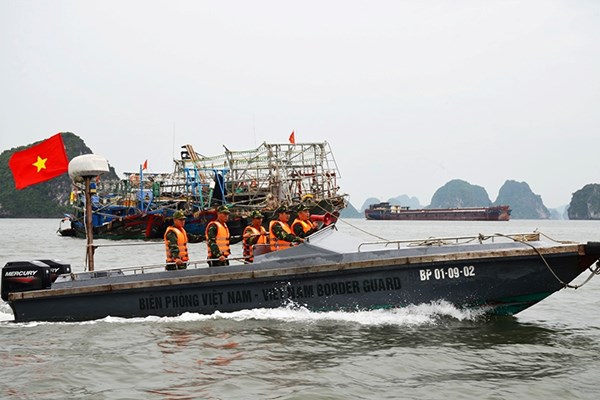 Hải Phòng – Quảng Ninh: Triển khai phương án và lực lượng phòng chống bão số 3 - Anh 4