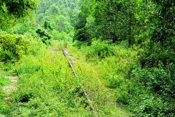 Lãng phí tiền tỉ cho tuyến đường sắt... không tàu - Anh 2