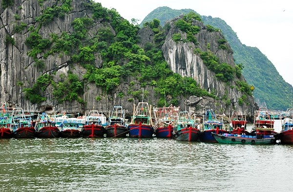 Phó Thủ tướng Trịnh Đình Dũng kiểm tra công tác chống bão số 3 - Anh 2