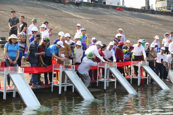 Quảng Nam bàn giải pháp phát triển kinh tế lòng hồ thủy điện - Anh 1