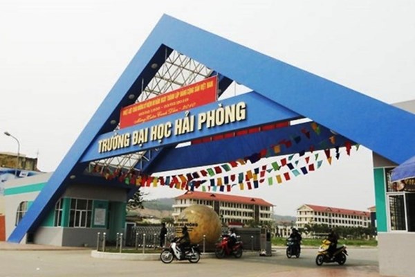 Gần 50 cở sở giáo dục phải dừng cấp chứng chỉ ngoại ngữ và tin học - Anh 1