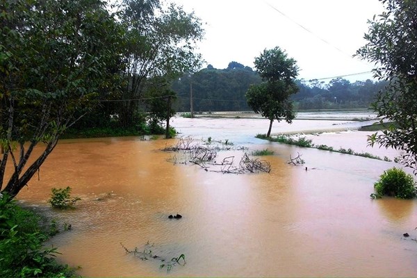 Hà Tĩnh: Mưa dồn dập, nước lũ lên nhanh, thủy điện bắt đầu xả tràn - Anh 2