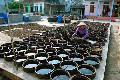 Nghề làm nước mắm Nam Ô là Di sản văn hóa phi vật thể quốc gia - Anh 2