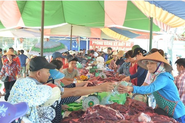 Quá tải, biển người hào hứng xem chọi trâu Đồ Sơn - Anh 9