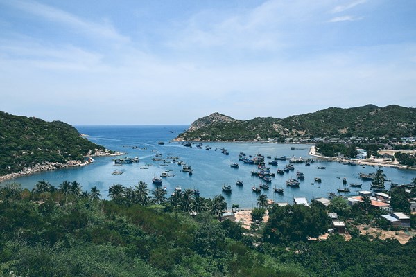 Ninh thuận hưởng “quả ngọt” từ những dự án đầu tư nghìn tỷ - Anh 3