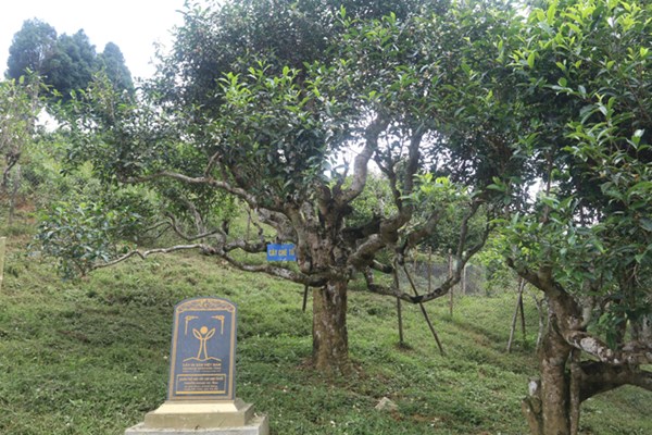 Lễ hội đi qua, ấn tượng còn đọng lại - Anh 5
