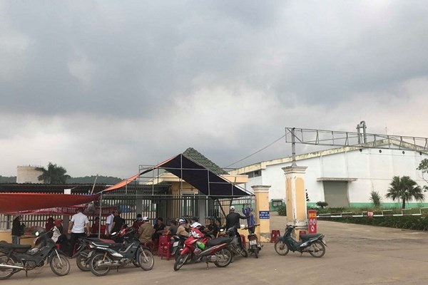 Tràn dầu tại nhà máy cồn Đại Tân (Quảng Nam): “Sự cố” hay “cố ý” xả thải chất bẩn? - Anh 2