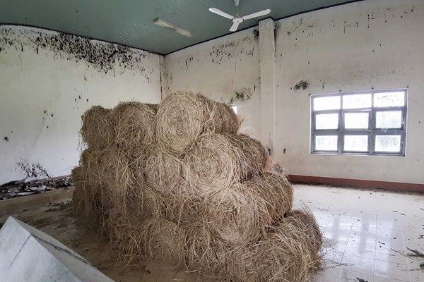 Đừng để trường học trở thành nơi chăn nuôi gia súc - Anh 2