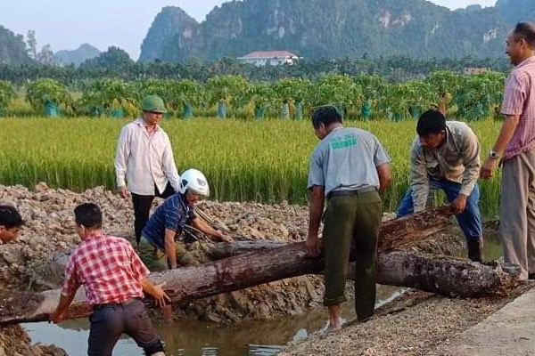 Phát hiện hai cọc gỗ cổ bên sông Bạch Đằng - Anh 1