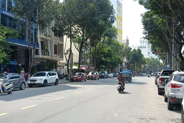 Sở VH-TT Đà Nẵng lấy ý kiến về đặt tên đường 2 người nước ngoài có công với chữ Quốc ngữ - Anh 1