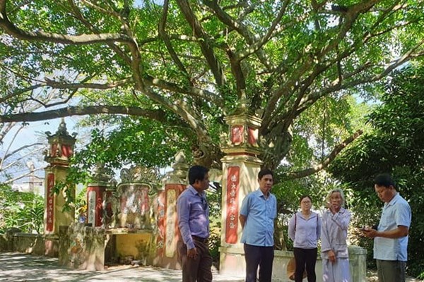 Khu rừng nguyên sinh và hệ thống di tích ở Trung Sơn (Hoà Vang - Đà Nẵng): Bỏ dự án, giữ di tích và thiên nhiên - Anh 1