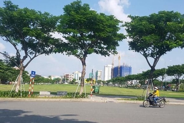 Đà Nẵng kháng cáo toàn bộ bản án sơ thẩm trong vụ kiện của Vipico - Anh 1