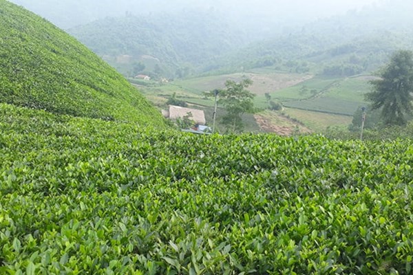 Đến với Thái Nguyên: Không chỉ có mỗi Hồ Núi Cốc - Anh 1