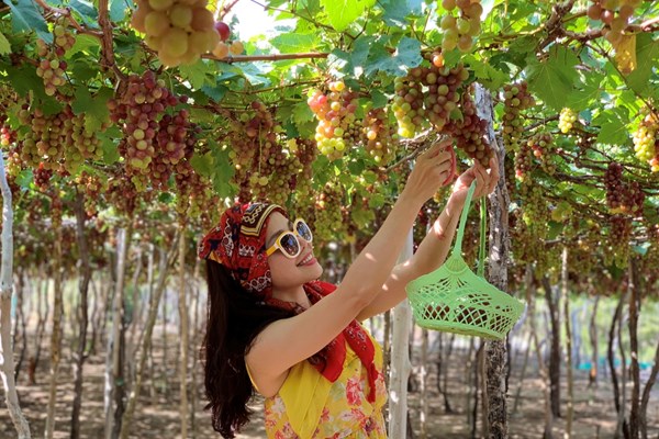 Tôn vinh và quảng bá văn hóa, du lịch Ninh Thuận tại Hà Nội - Anh 3