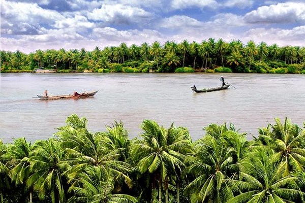 Lễ hội Dừa 2019:  Hàng nghìn tay máy phác họa khoảnh khắc  “Tôi yêu Bến Tre” - Anh 1