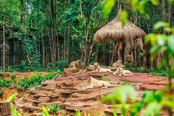 Vinpearl Safari đăng cai tổ chức hội nghị bảo tồn và phúc trạng động vật lớn nhất Đông Nam Á - Anh 5
