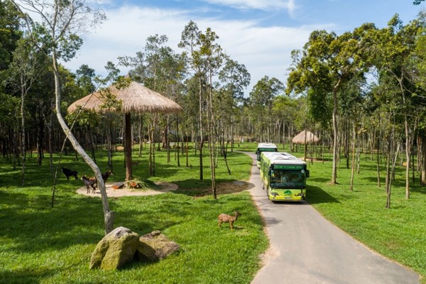 Vinpearl Safari đăng cai tổ chức hội nghị bảo tồn và phúc trạng động vật lớn nhất Đông Nam Á - Anh 6