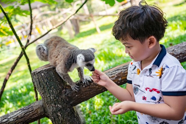 Vinpearl Safari đăng cai tổ chức hội nghị bảo tồn và phúc trạng động vật lớn nhất Đông Nam Á - Anh 7