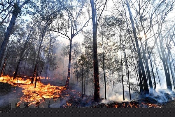 Australia: Tạm khống chế 