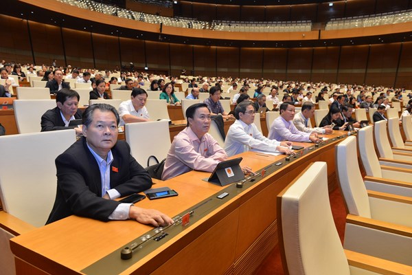Quốc hội biểu quyết thông qua Luật Thư viện - Anh 4