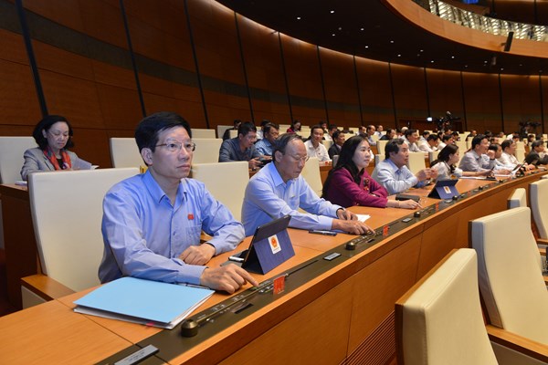 Quốc hội biểu quyết thông qua Luật Thư viện - Anh 5
