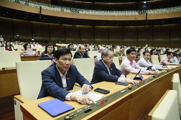 Quốc hội biểu quyết thông qua Luật Thư viện - Anh 3