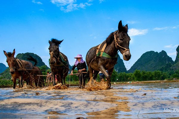 Mác Kham – Cô gái Tày và niềm đam mê nhiếp ảnh - Anh 4