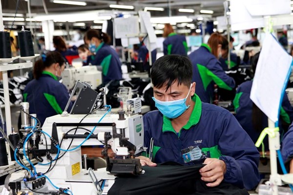 Tương lai việc làm Việt Nam: Phấn đấu BHXH sẽ bao phủ 55 - 60% lực lượng lao động - Anh 1
