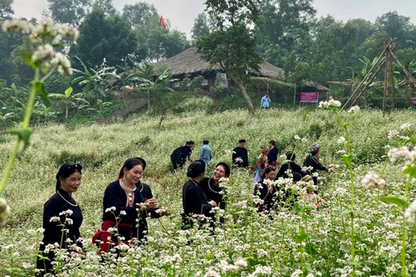 Sắc hoa tại “Ngôi nhà chung” - Anh 1