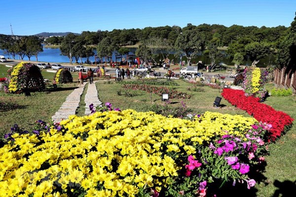 Festival Hoa Đà Lạt 2019: Nhiều hoạt động văn hóa đặc sắc thu hút khách - Anh 1