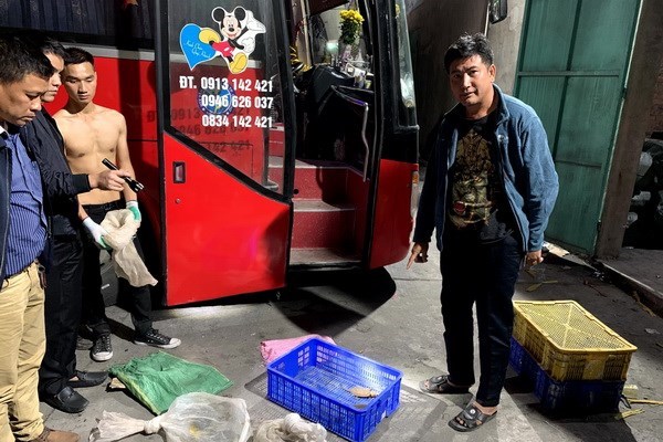 Tạm giữ đối tượng vận chuyển rùa 4 mắt và rùa trán vàng quý hiếm - Anh 1
