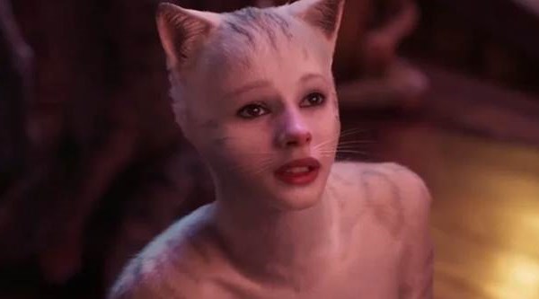 He lo nhung thanh vien trong gia toc meo toan sao khung o Cats Nhung chu meo - Anh 1