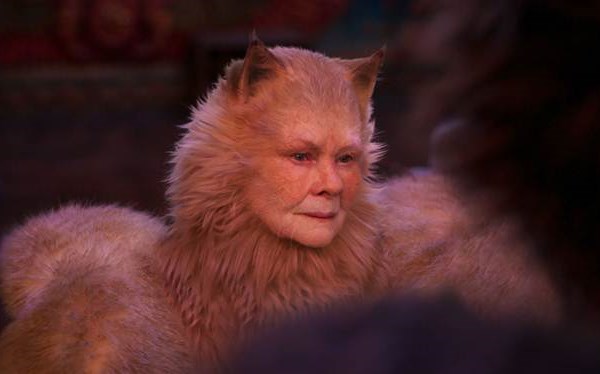 He lo nhung thanh vien trong gia toc meo toan sao khung o Cats Nhung chu meo - Anh 2