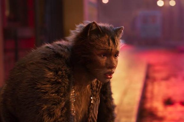 He lo nhung thanh vien trong gia toc meo toan sao khung o Cats Nhung chu meo - Anh 4