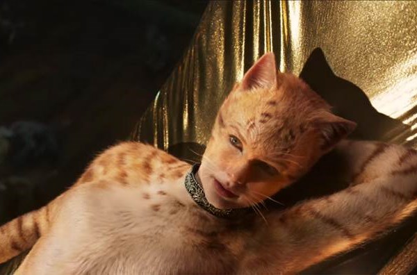 He lo nhung thanh vien trong gia toc meo toan sao khung o Cats Nhung chu meo - Anh 6