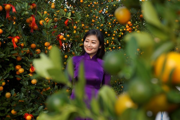 Ngày hội quật cảnh Cẩm Hà (Hội An) lần thứ V-năm 2020: RỘN RÀNG SẮC XUÂN - Anh 1